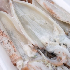 동해안 생물오징어 2마리(손질,급속동결)