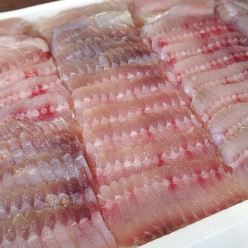 홍어 1팩(500g) 국내산 참홍어