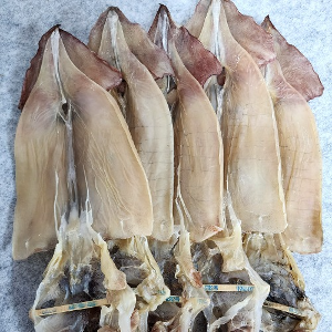 최상품 마른 오징어 20마리 1.7kg내외