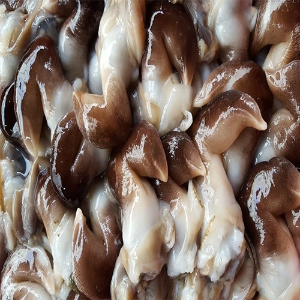 국내산 손질 명품 새조개 200g(10미내외)