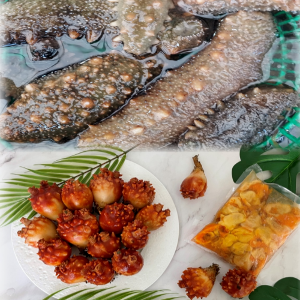 깐멍게500g / 해삼500g