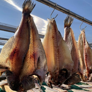 반건조 손질민어 4미