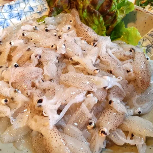 횟감 생물 호래기 500g (40~60미내외)